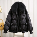 Chaqueta cardino